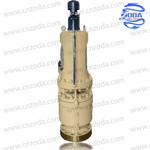 High Steam Low Water Steam Safety Valve-2