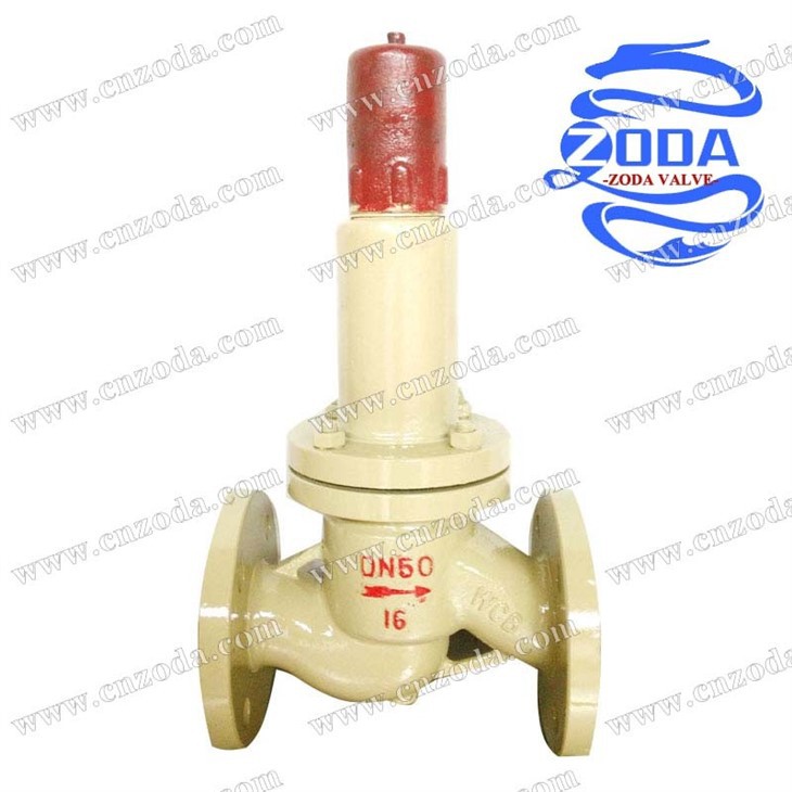 Parallel backflow pressure safety relief valve-3