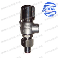 스레드 안전 밸브